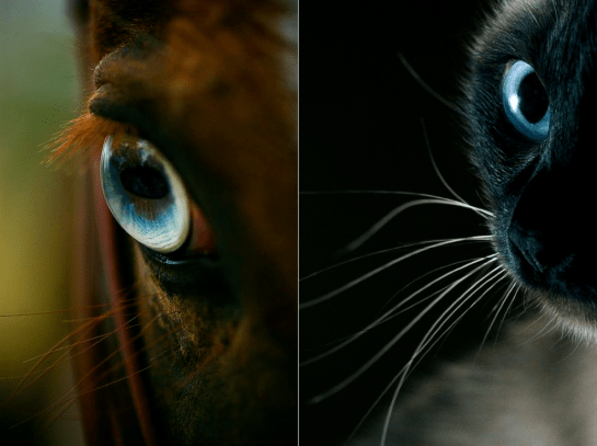 Screen shot 2014-10-28 at 3.12.29 PM