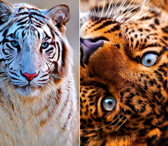 Screen shot 2014-10-28 at 3.21.09 PM