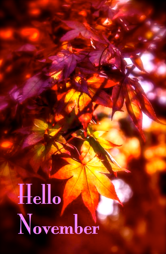 Screen shot 2014-11-01 at 10.06.24 PM