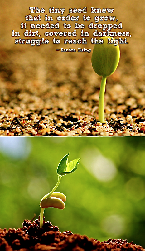 Screen shot 2014-11-01 at 11.19.09 AM