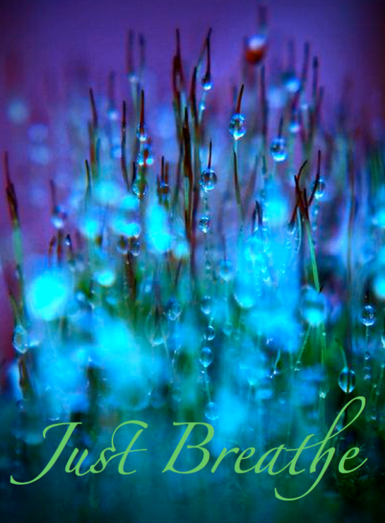 Screen shot 2014-11-07 at 9.45.00 AM