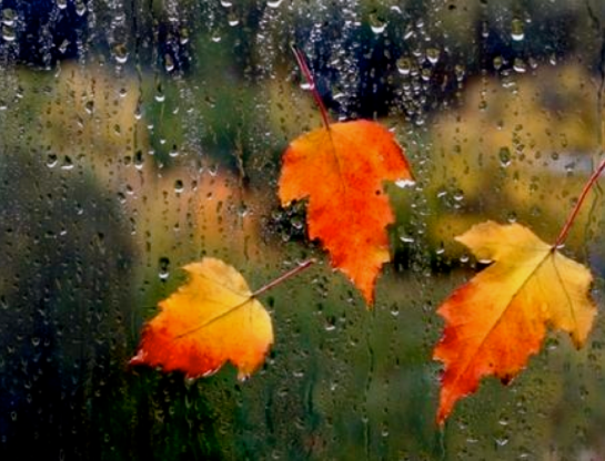 Screen shot 2014-11-08 at 8.03.11 AM