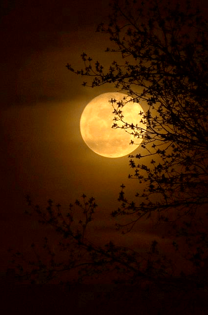 Screen shot 2014-11-09 at 9.38.02 PM