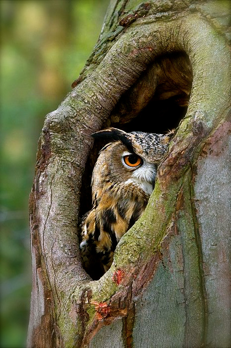 Screen shot 2014-11-13 at 5.56.06 PM