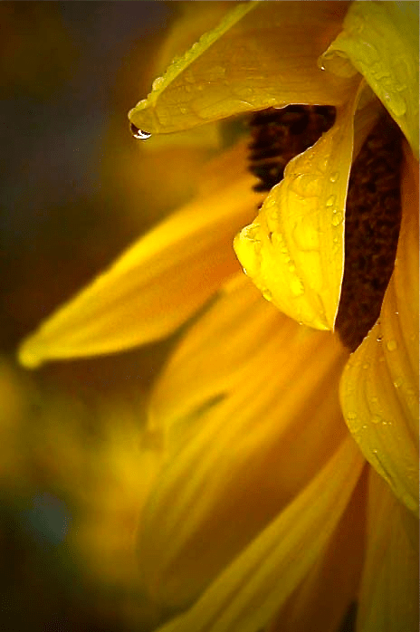 Screen shot 2014-11-14 at 6.13.47 PM