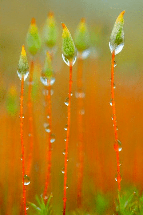 Screen shot 2014-10-08 at 6.02.33 PM