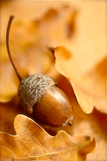 Screen shot 2014-11-01 at 9.51.46 PM