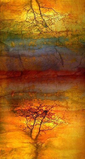 Screen shot 2014-11-28 at 9.38.16 AM