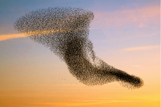 Screen shot 2014-12-02 at 8.08.50 AM