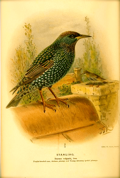 Screen shot 2014-12-02 at 8.12.46 AM