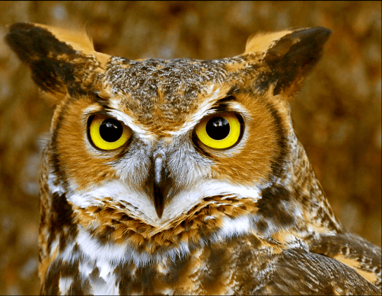 Screen shot 2014-12-12 at 3.28.54 PM