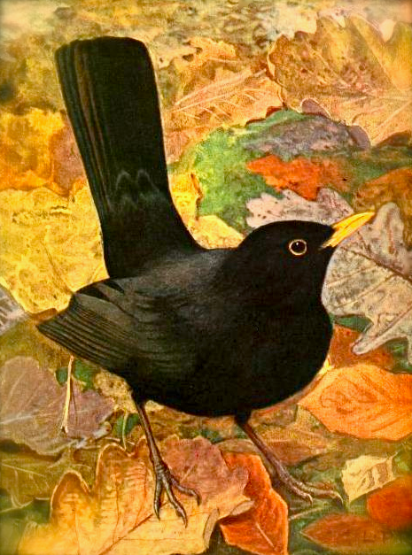 Screen shot 2014-12-13 at 9.54.18 AM