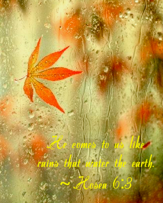 Screen shot 2014-12-14 at 3.10.31 PM