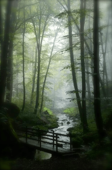 Screen shot 2014-12-19 at 2.50.20 PM