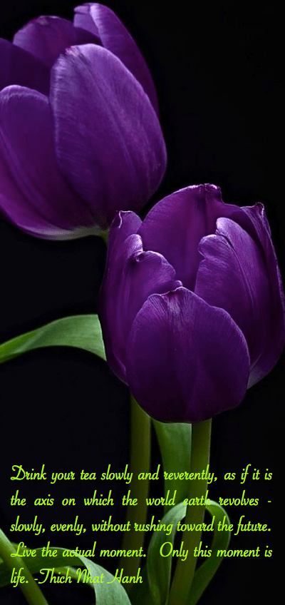 Screen shot 2014-12-31 at 10.17.17 AM