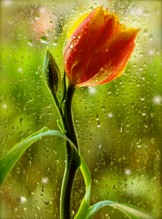 Screen shot 2014-06-24 at 7.36.20 PM