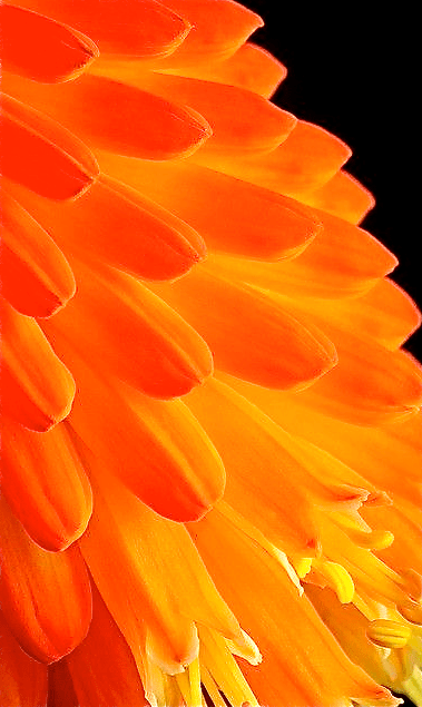 Screen shot 2014-10-14 at 3.02.19 PM