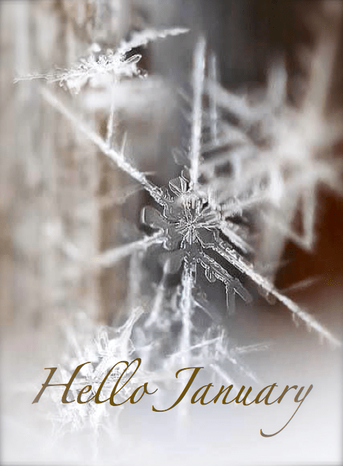 Screen shot 2015-01-03 at 3.19.02 PM