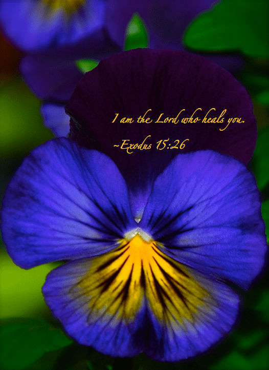 Screen shot 2015-01-06 at 5.47.29 PM