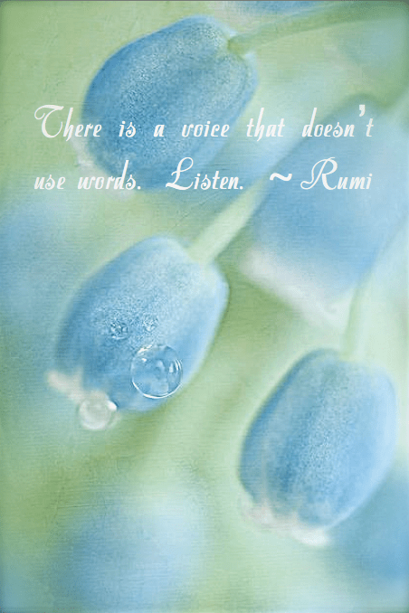 Screen shot 2015-01-07 at 6.26.59 PM