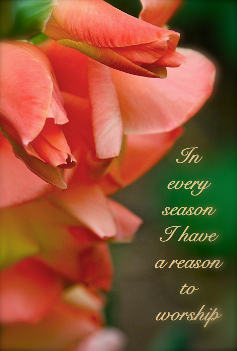 Screen shot 2015-01-09 at 10.25.12 PM