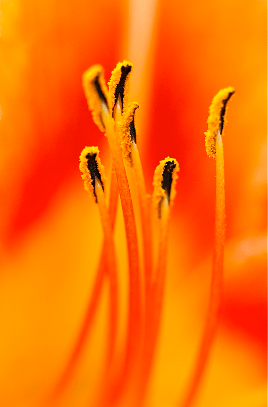 Screen shot 2015-01-10 at 10.03.34 PM