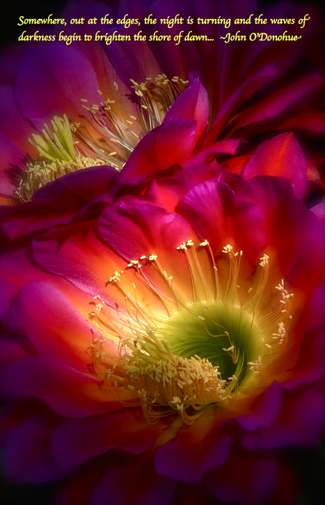 Screen shot 2015-01-12 at 10.21.31 PM