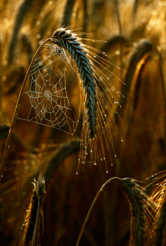 Screen shot 2015-01-15 at 9.41.56 AM