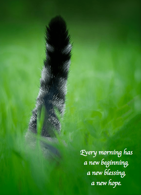 Screen shot 2015-01-18 at 9.56.49 AM