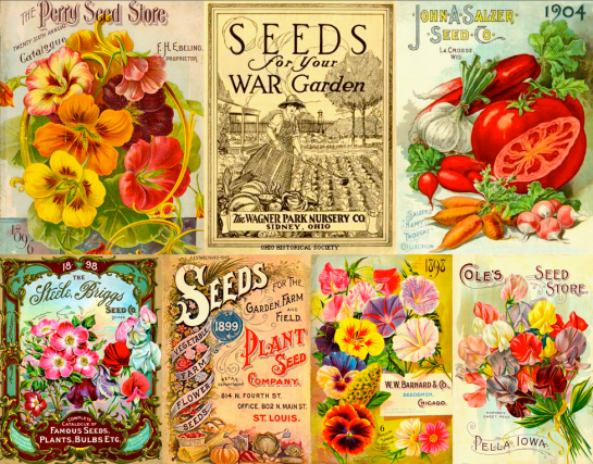 Screen shot 2015-01-20 at 2.43.09 PM