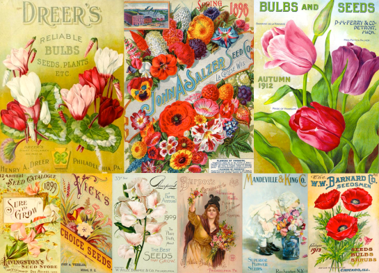 Screen shot 2015-01-20 at 3.19.53 PM