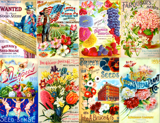 Screen shot 2015-01-20 at 3.34.37 PM