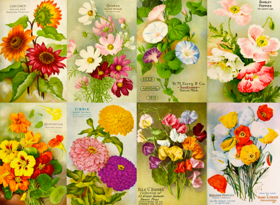 Screen shot 2015-01-21 at 5.02.41 PM