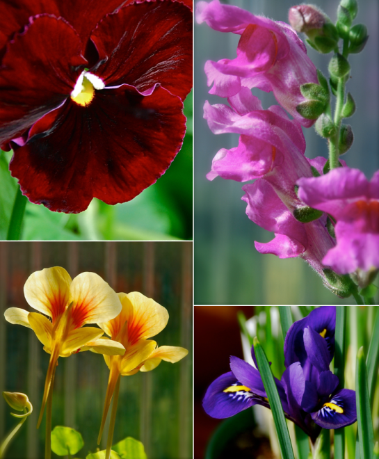 Screen shot 2015-01-23 at 3.01.14 PM