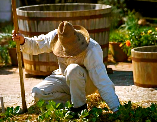 Screen shot 2015-01-25 at 6.53.21 AM