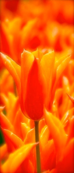 Screen shot 2015-01-25 at 7.07.41 PM