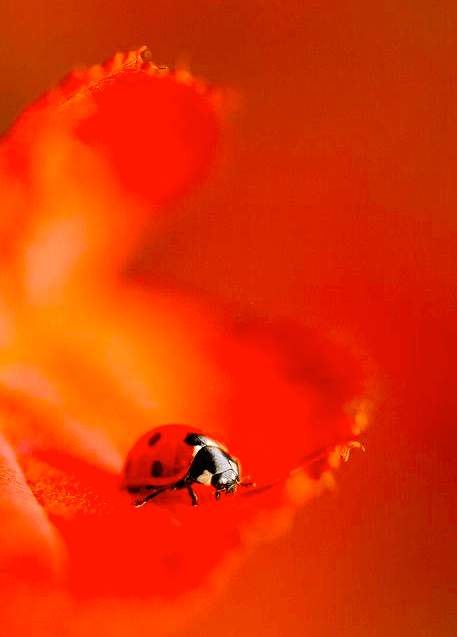 Screen shot 2015-01-25 at 9.57.50 PM