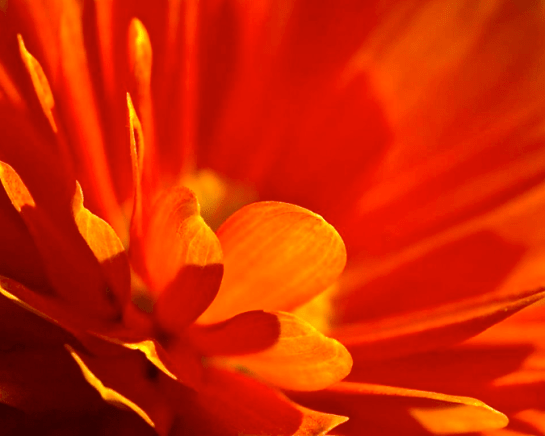 Screen shot 2015-01-26 at 3.17.58 PM