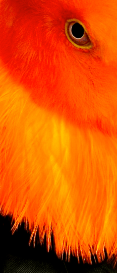 Screen shot 2015-01-26 at 3.26.29 PM