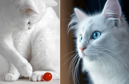 Screen shot 2015-01-28 at 5.03.15 PM