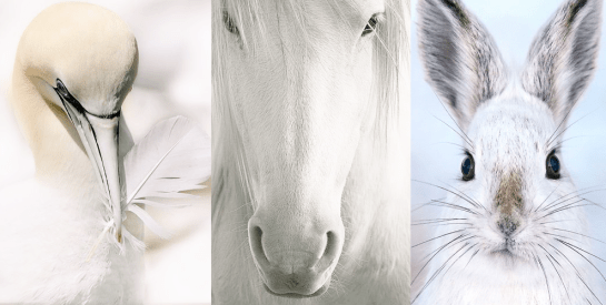 Screen shot 2015-01-28 at 5.14.30 PM