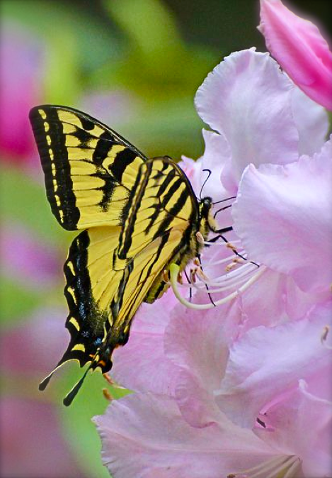 Screen shot 2015-01-30 at 2.55.08 PM