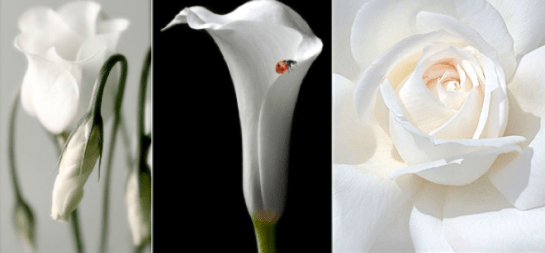 Screen Shot 2016-05-14 at 10.36.02 PM.png