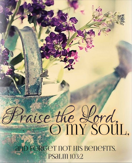 Screen shot 2015-01-09 at 3.32.43 PM