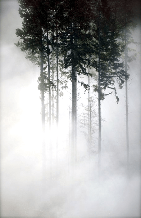 Screen shot 2015-01-27 at 2.01.27 PM