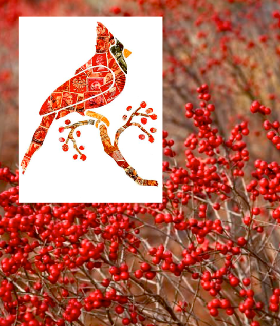 Screen shot 2015-02-02 at 4.54.29 PM