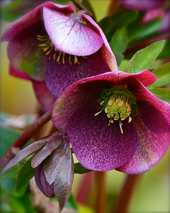 Screen shot 2015-02-15 at 5.27.02 PM