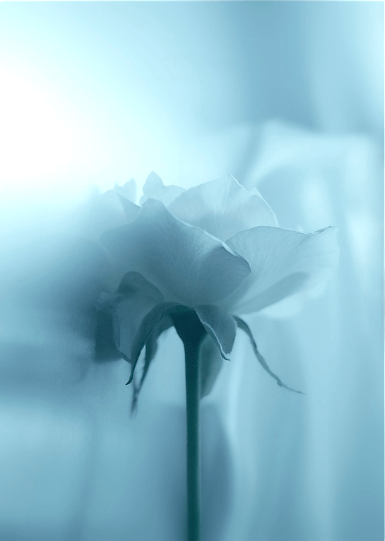 Screen shot 2015-02-18 at 9.47.19 PM