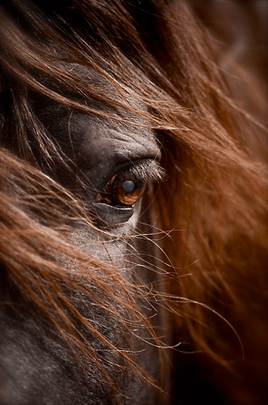 Screen shot 2015-02-19 at 9.42.55 AM