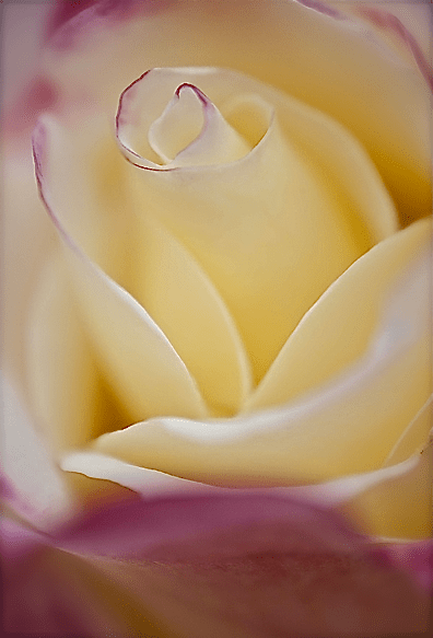 Screen shot 2015-02-19 at 9.43.33 AM